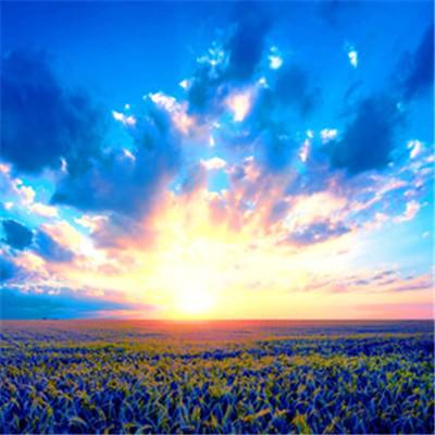 体育竞彩推荐平台app