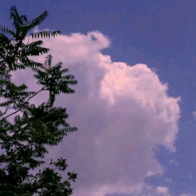 澳客APP下载官网app下载截图