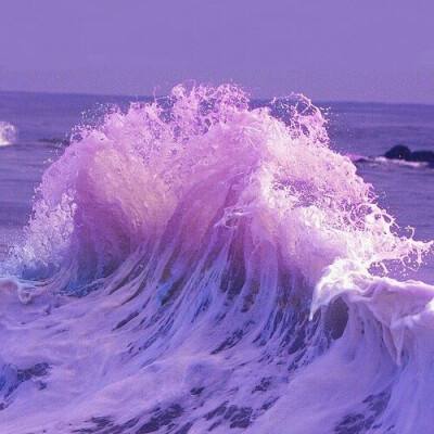 新天地棋牌app下载